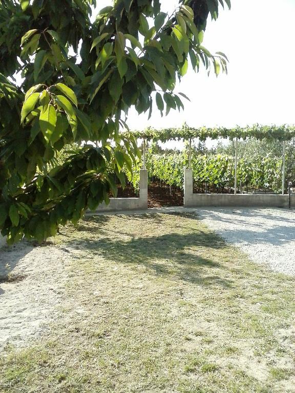 Guesthouse Marijana Lozovac Chambre photo